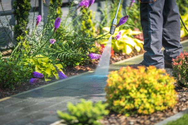 Best Fence Cleaning  in Columbus Junction, IA